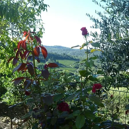Podere Palazzolo (adults Only) Castellina in Chianti