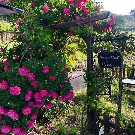 Gospodarstwo wiejskie Podere Palazzolo (adults Only)