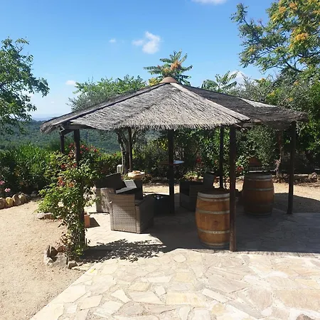 Podere Palazzolo (adults Only) Country house