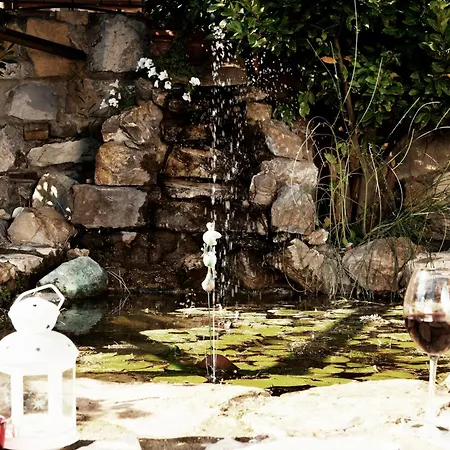 Podere Palazzolo (adults Only)