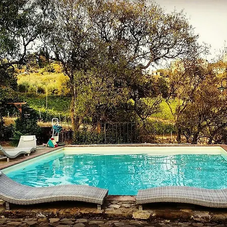 カントリーハウス Podere Palazzolo (adults Only) *