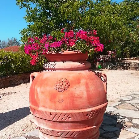 Podere Palazzolo (adults Only) カステッリーナ・イン・キアンティ シエナ