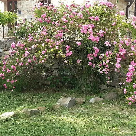 カントリーハウス Podere Palazzolo (adults Only) カステッリーナ・イン・キアンティ シエナ