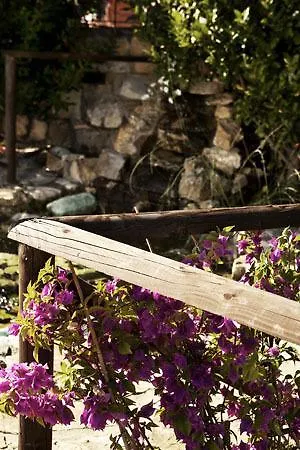 Gospodarstwo wiejskie Podere Palazzolo (adults Only) *